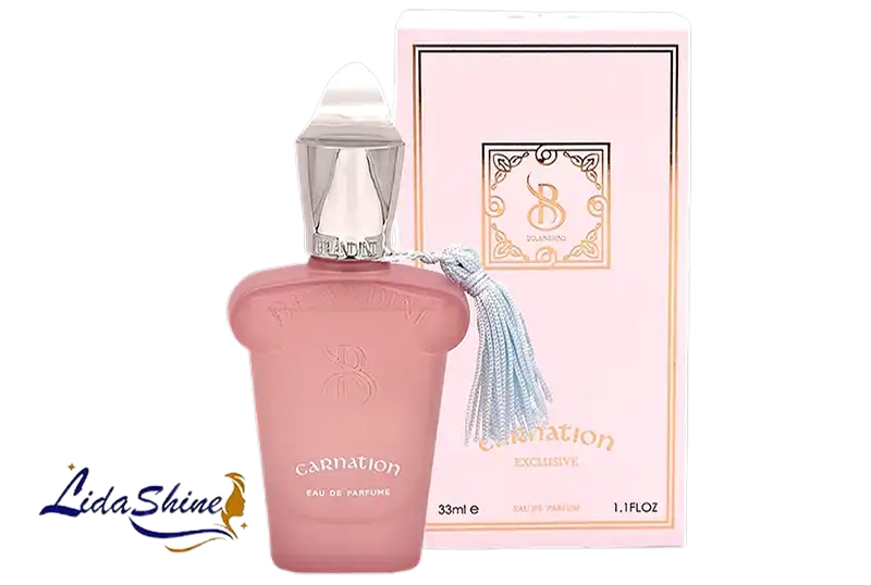 برندینی عطر زنانه و مردانه ادوپرفیوم کارنشن حجم 33 میلی لیتر